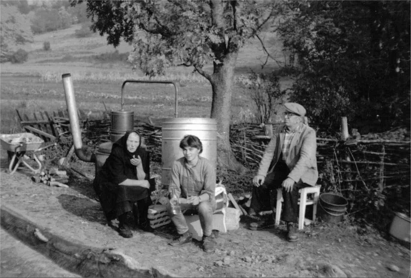 Krstina, unuka Kristina, Mile Milohnoja